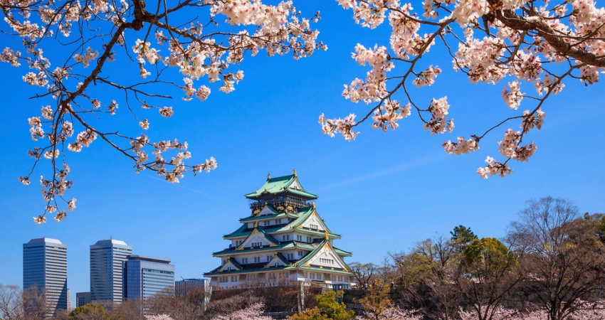 Sakura ve Ramazan Bayramı Özel • Güney Kore ve Japonya Turu • Tüm Turlar Dahil • Qatar HY ile • 9 Gece 12 Gün