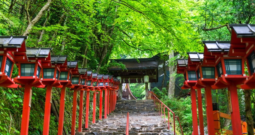 Sakura Dönemi Japonya & Kore Turu Mistik Rotalar (2025)  • THY ile • 7 Gece 9 Gün